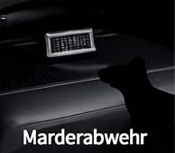Marderabwehr